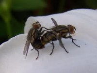 /album/reproduccion-animal94/images-1-jpg/